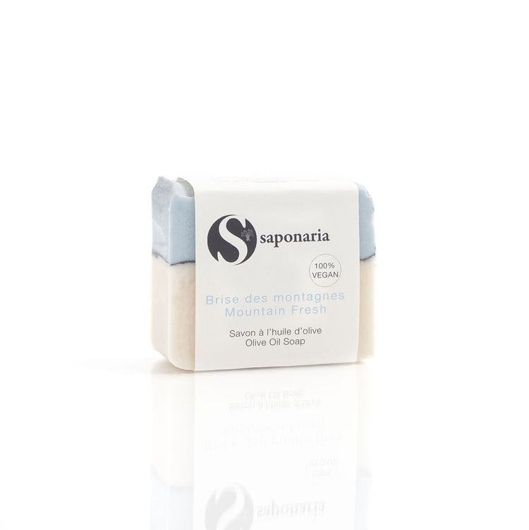 Saponaria - SAVON BRISE DES MONTAGNES